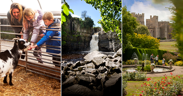 family petting a goat, high force waterfall and family walking through Raby Castle gardens